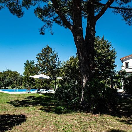 Terre Etrusche Guest House Viterbo Exterior foto