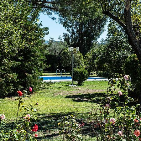 Terre Etrusche Guest House Viterbo Exterior foto